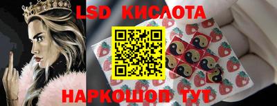 ГАЛЛЮЦИНОГЕННЫЕ ГРИБЫ Берёзовский