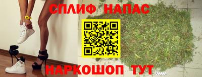 ГАЛЛЮЦИНОГЕННЫЕ ГРИБЫ Берёзовский