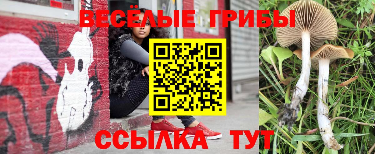 Кашира  Метамфетамин  Бошки Шишки  Вход с VPN  Меф   ЭКСТАЗИ  Cocaine  Гашиш  Гашиш 