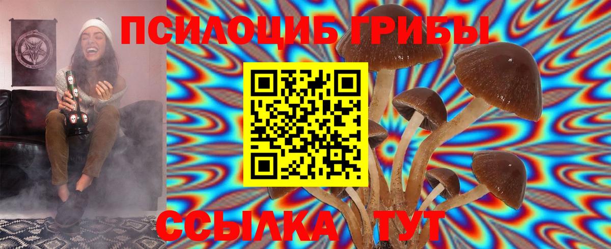 Галлюциногенные грибы GOLDEN TEACHER Кашира