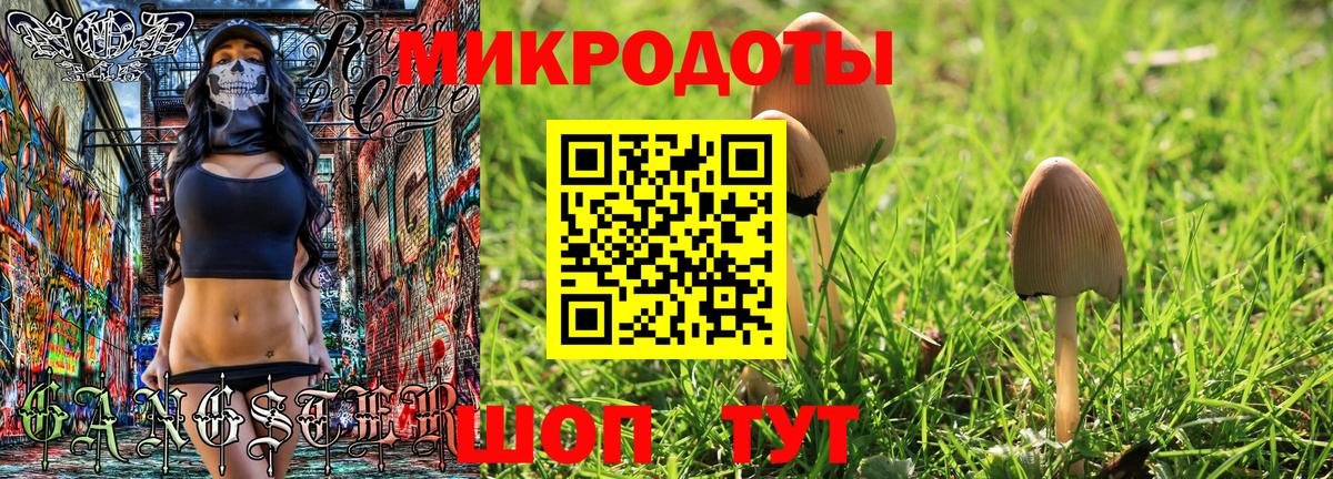 Галлюциногенные грибы GOLDEN TEACHER  Вход с VPN  Галлюциногенные грибы GOLDEN TEACHER  Кашира 